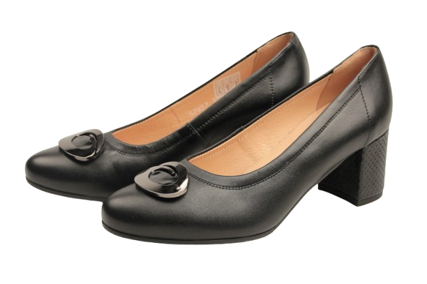 IMG_1946-removebg-preview IMG_1946-removebg-preview