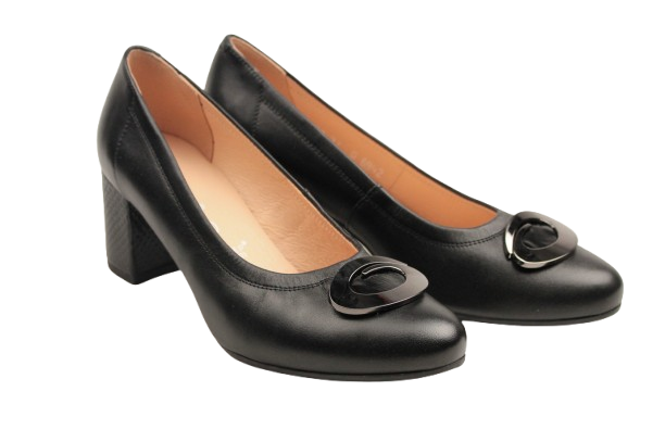 IMG_1947-removebg-preview IMG_1947-removebg-preview