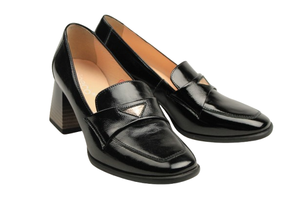 IMG_1977-removebg-preview