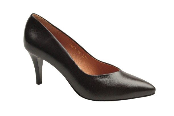 IMG_2153-removebg-preview IMG_2153-removebg-preview