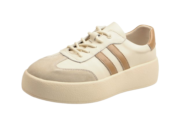 IMG_2246-removebg-preview