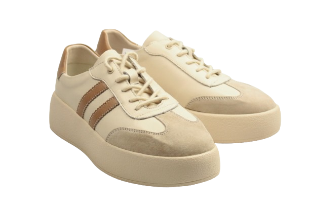 IMG_2248-removebg-preview