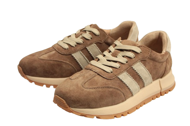 IMG_2290-removebg-preview