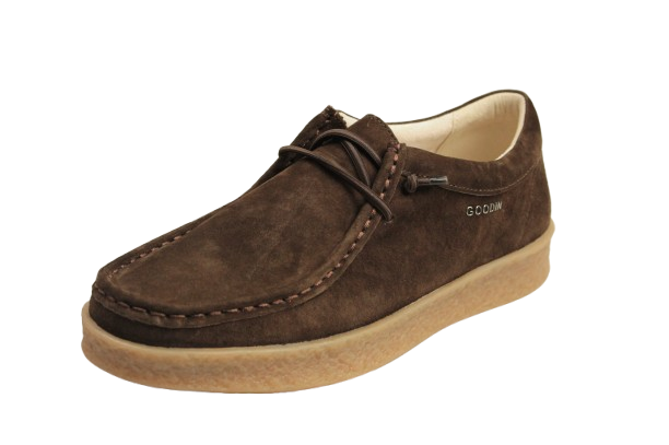 IMG_2307-removebg-preview IMG_2307-removebg-preview