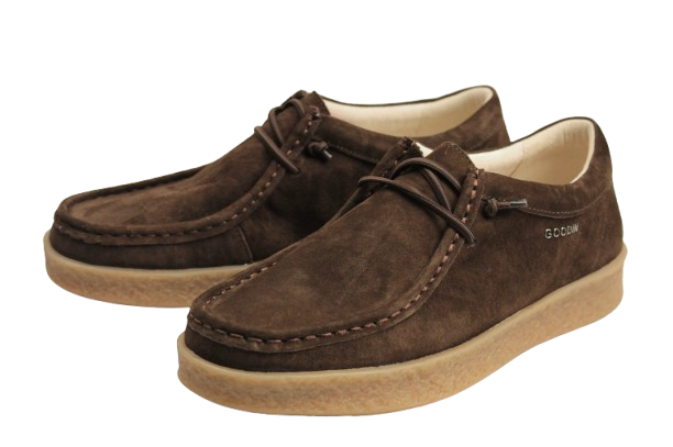 IMG_2308-removebg-preview IMG_2308-removebg-preview