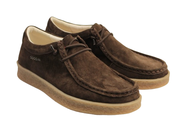 IMG_2309-removebg-preview IMG_2309-removebg-preview