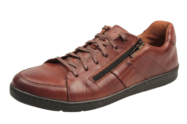 IMG_2322-removebg-preview