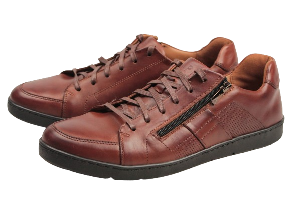 IMG_2323-removebg-preview