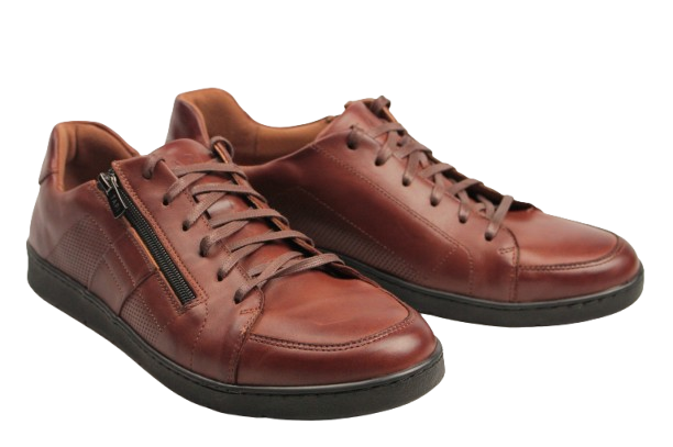 IMG_2324-removebg-preview