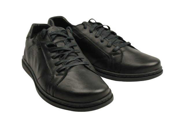 IMG_2336-removebg-preview IMG_2336-removebg-preview