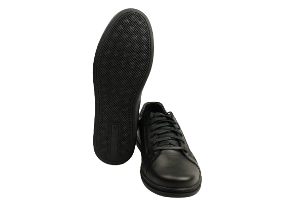 IMG_2337-removebg-preview IMG_2337-removebg-preview