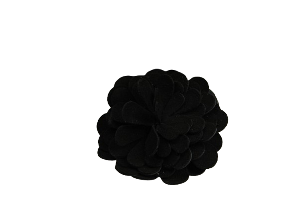 IMG_2865-removebg-preview IMG_2865-removebg-preview