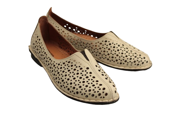 IMG_2877-removebg-preview IMG_2877-removebg-preview