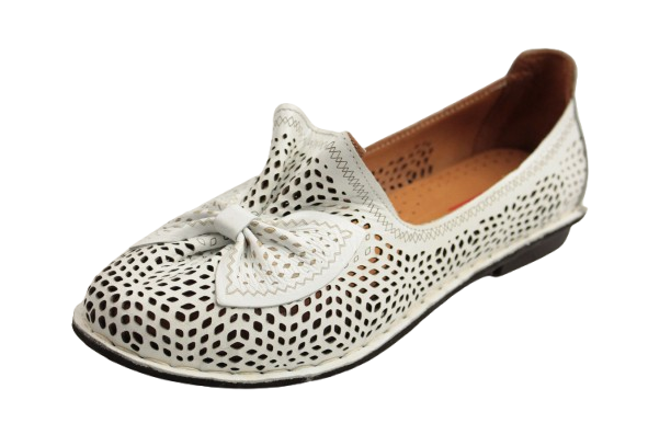 IMG_2881-removebg-preview IMG_2881-removebg-preview