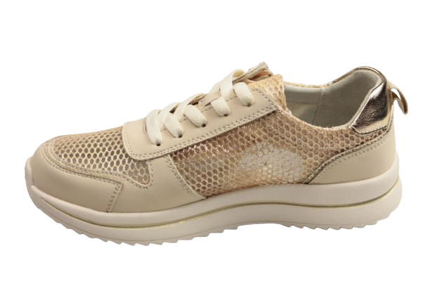 IMG_2886-removebg-preview IMG_2886-removebg-preview