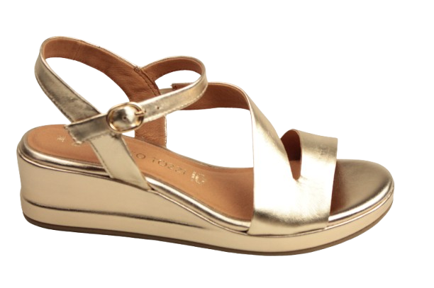 IMG_2910-removebg-preview IMG_2910-removebg-preview