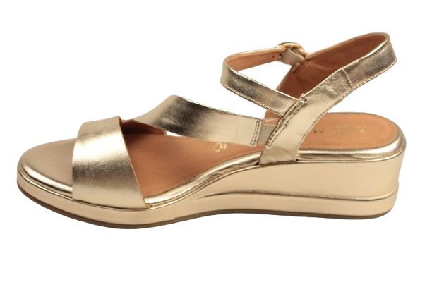 IMG_2911-removebg-preview