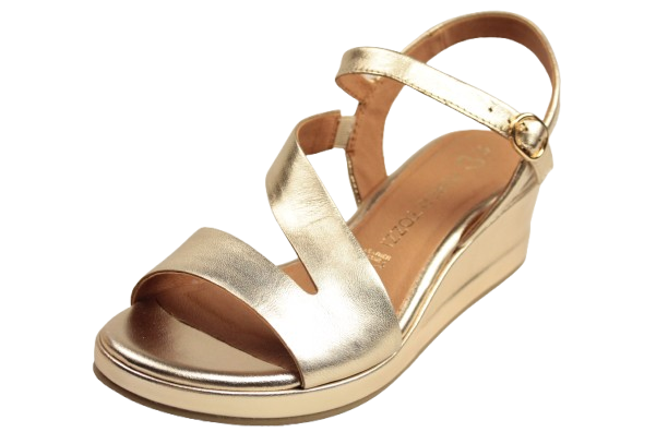 IMG_2912-removebg-preview (1) IMG_2912-removebg-preview (1)