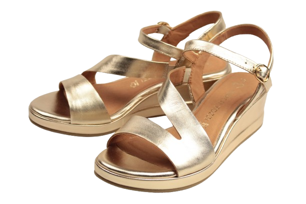 IMG_2913-removebg-preview IMG_2913-removebg-preview