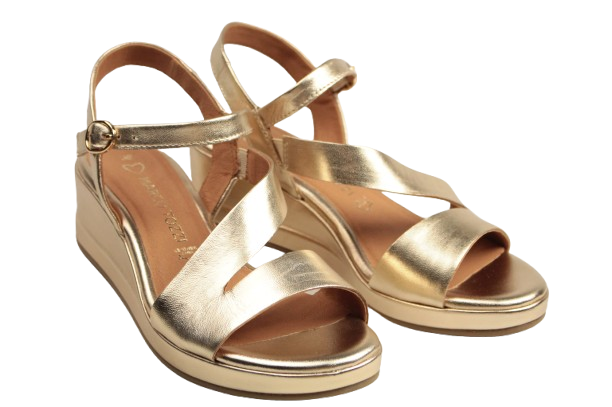 IMG_2914-removebg-preview IMG_2914-removebg-preview