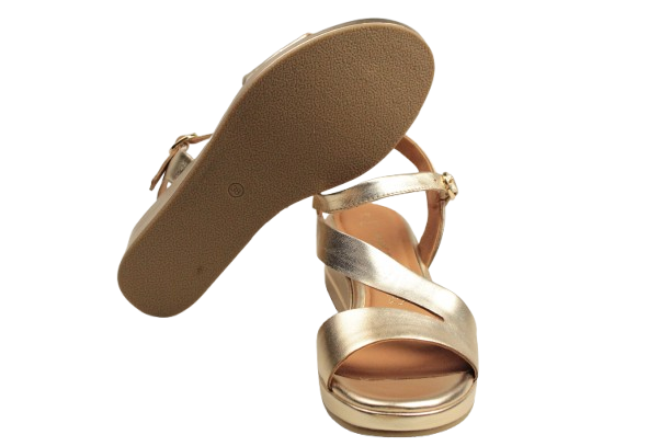 IMG_2915-removebg-preview IMG_2915-removebg-preview