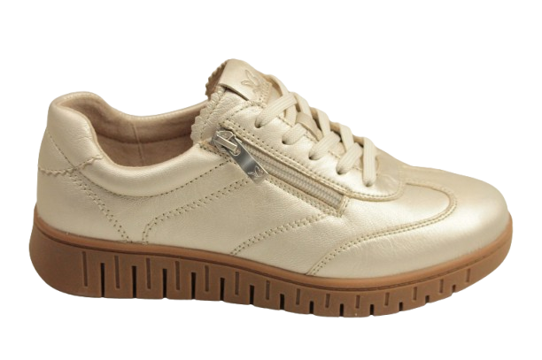 IMG_2916-removebg-preview IMG_2916-removebg-preview