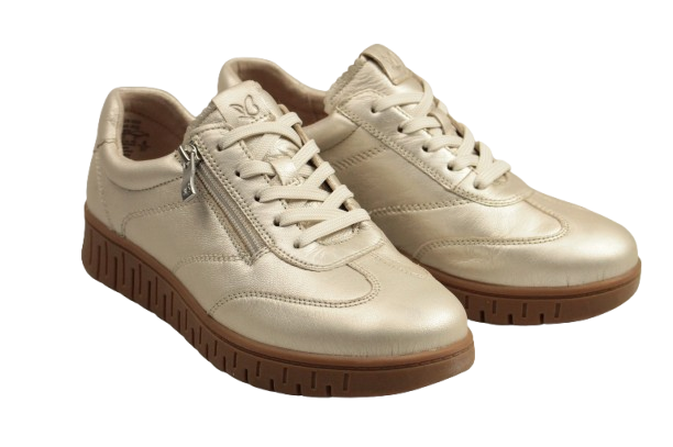 IMG_2920-removebg-preview IMG_2920-removebg-preview