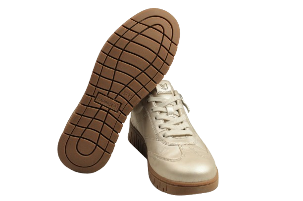 IMG_2921-removebg-preview IMG_2921-removebg-preview