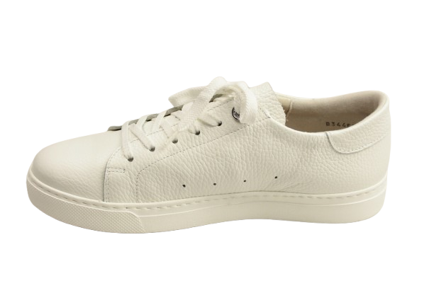 IMG_2929-removebg-preview