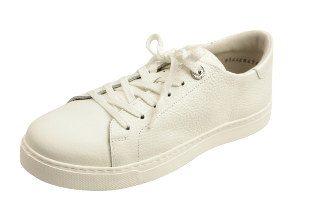 IMG_2930-removebg-preview IMG_2930-removebg-preview