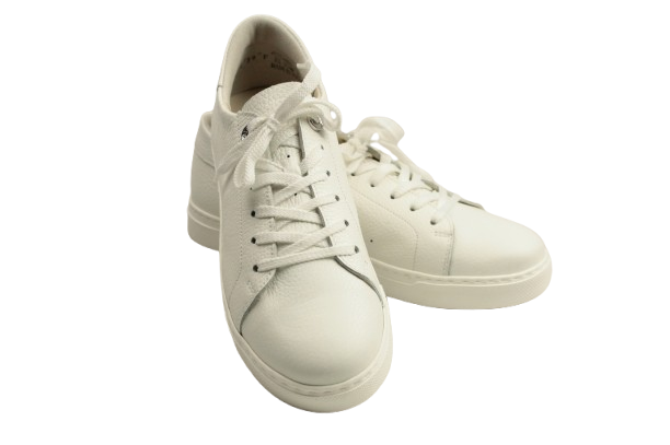 IMG_2933-removebg-preview IMG_2933-removebg-preview