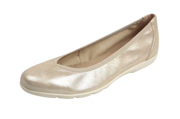 IMG_2983-removebg-preview IMG_2983-removebg-preview